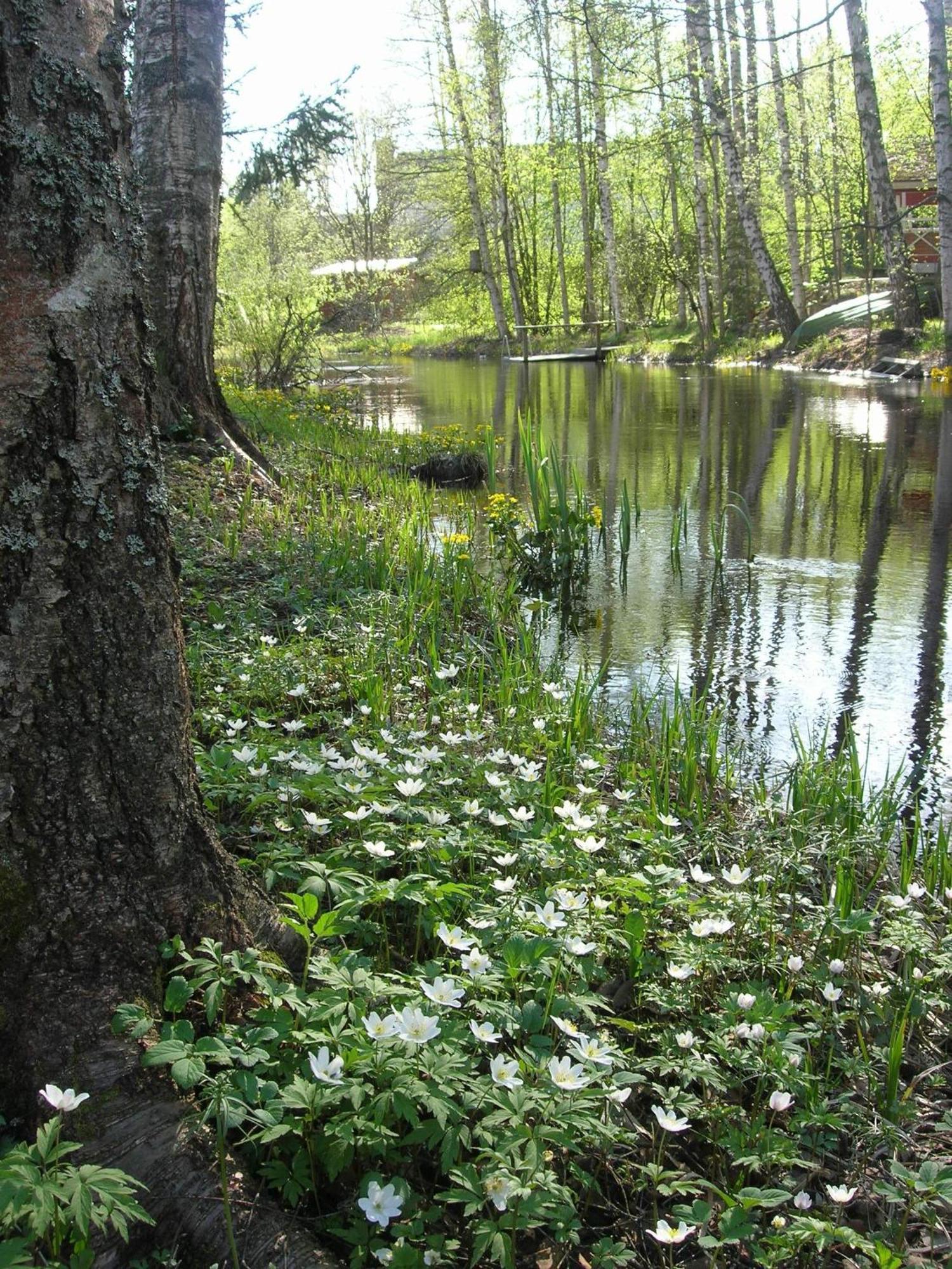 Portaan Nahkurinverstas Porras Luaran gambar